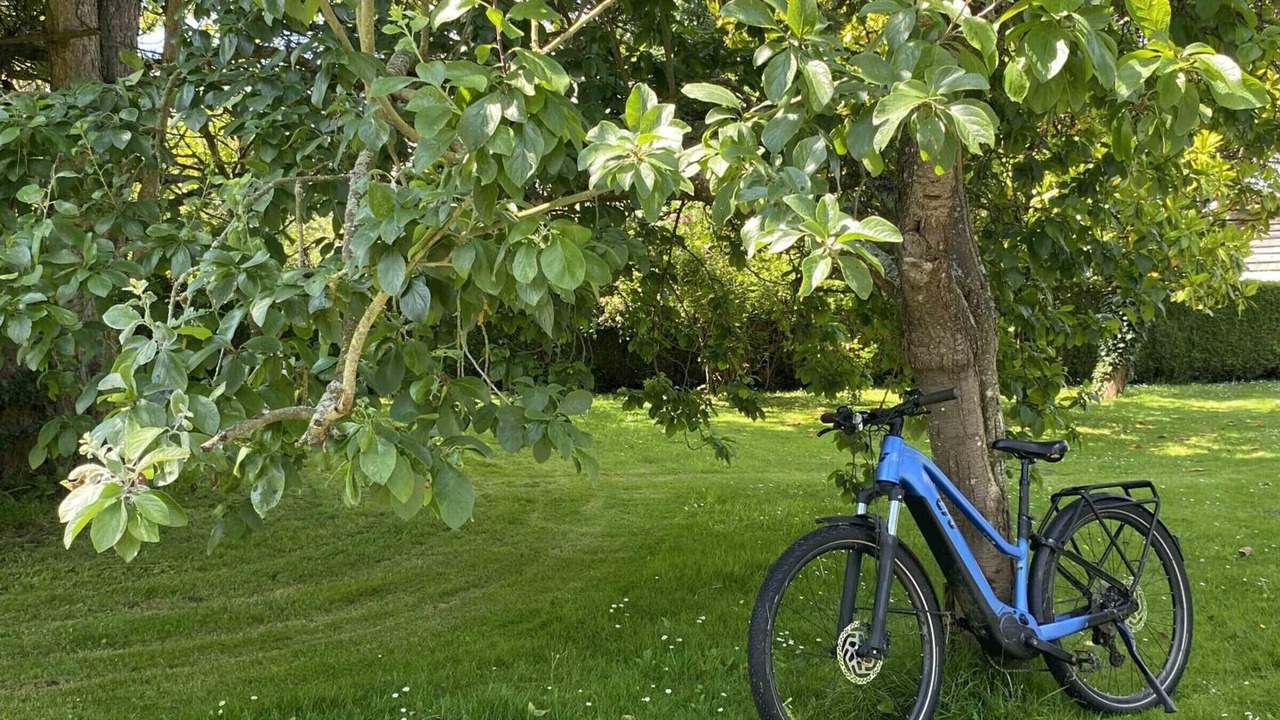 Photo of Outdoor in La Ferte-en-Ouche
