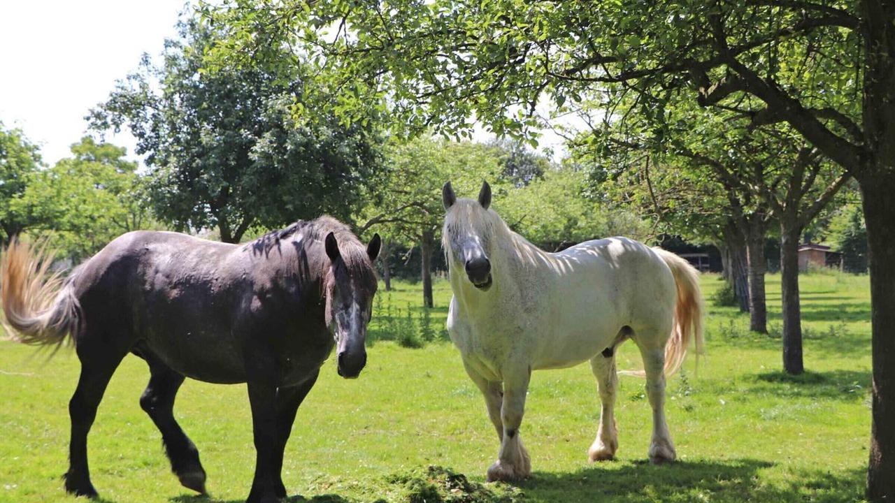 Photo of Others in La Ferte-en-Ouche