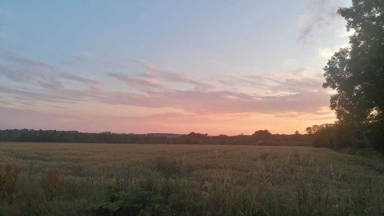 Photo of Outdoor in Bec-de-Mortagne