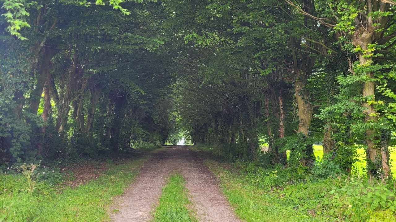 Photo of Outdoor in Fosseux