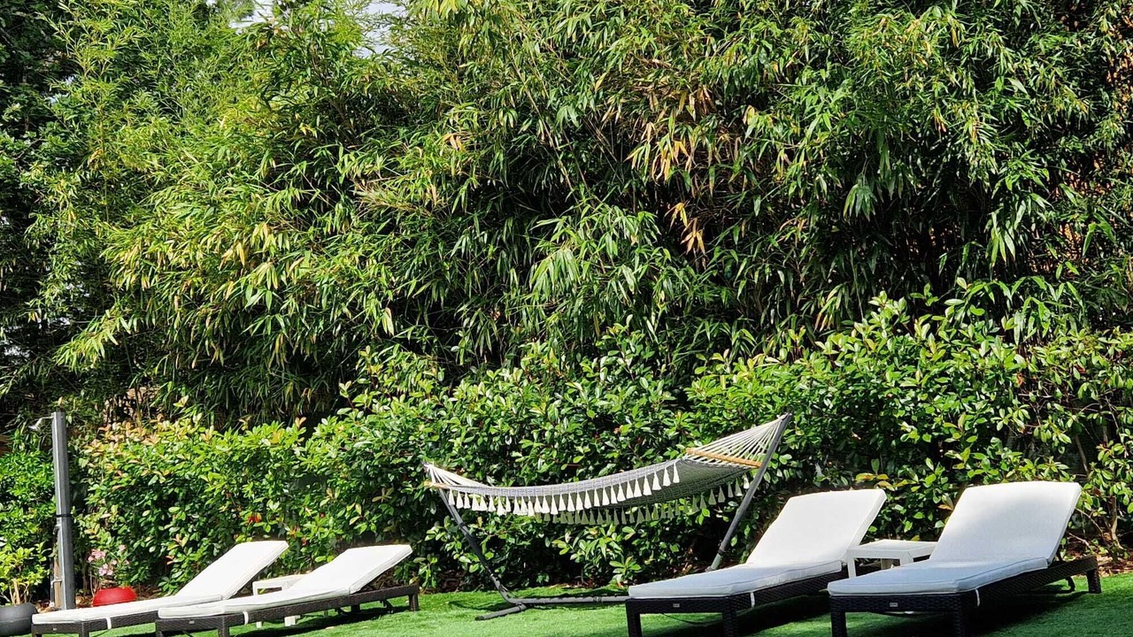 Photo of Outdoor in Le Vesinet