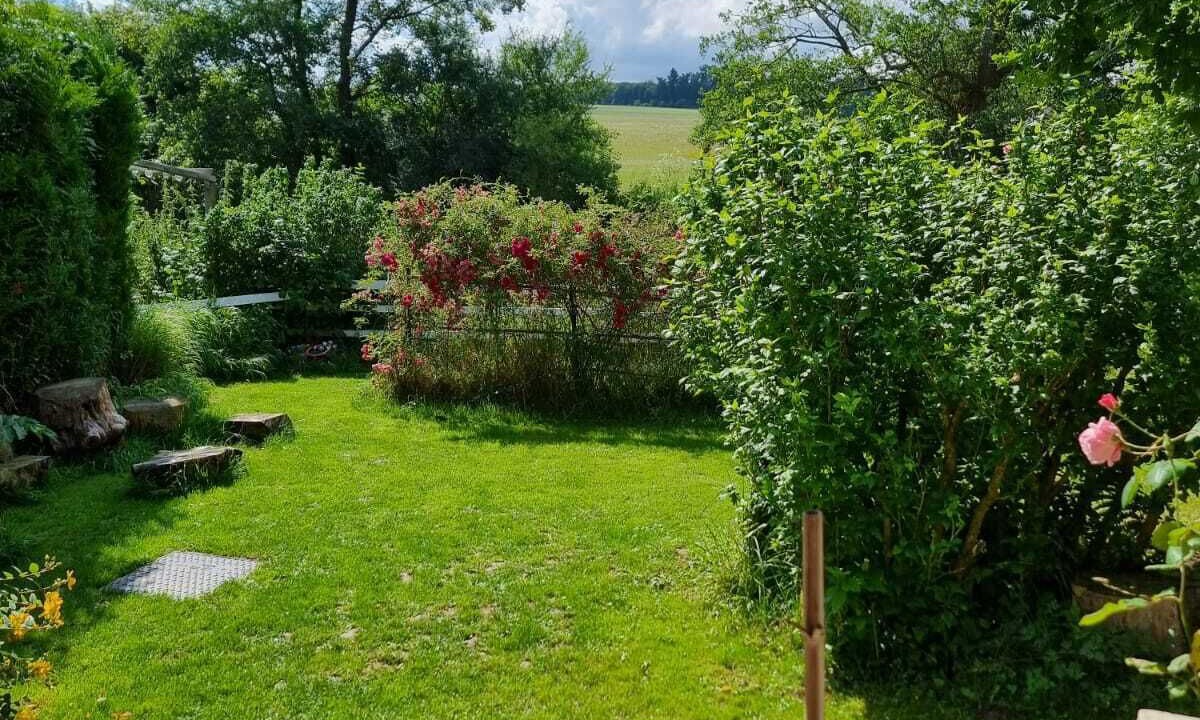 Photo of Outdoor in Guerard