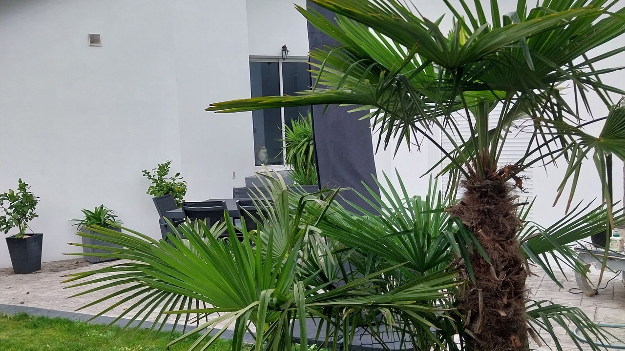 Photo of Outdoor in Aulnay-sous-Bois