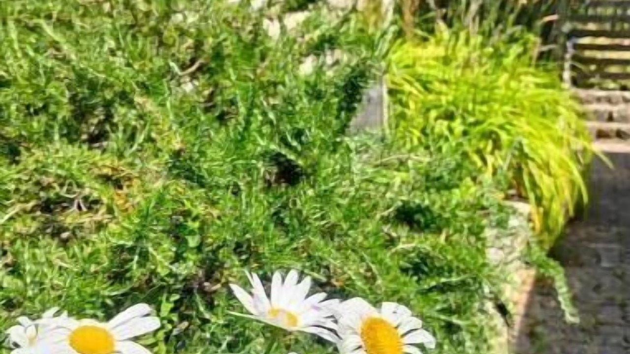 Photo of Outdoor in Senlis