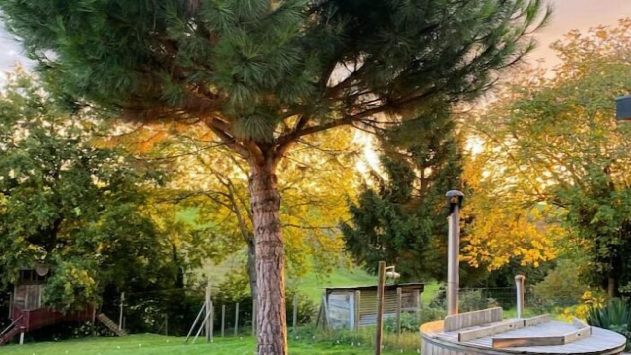 Photo of Outdoor in Mainneville