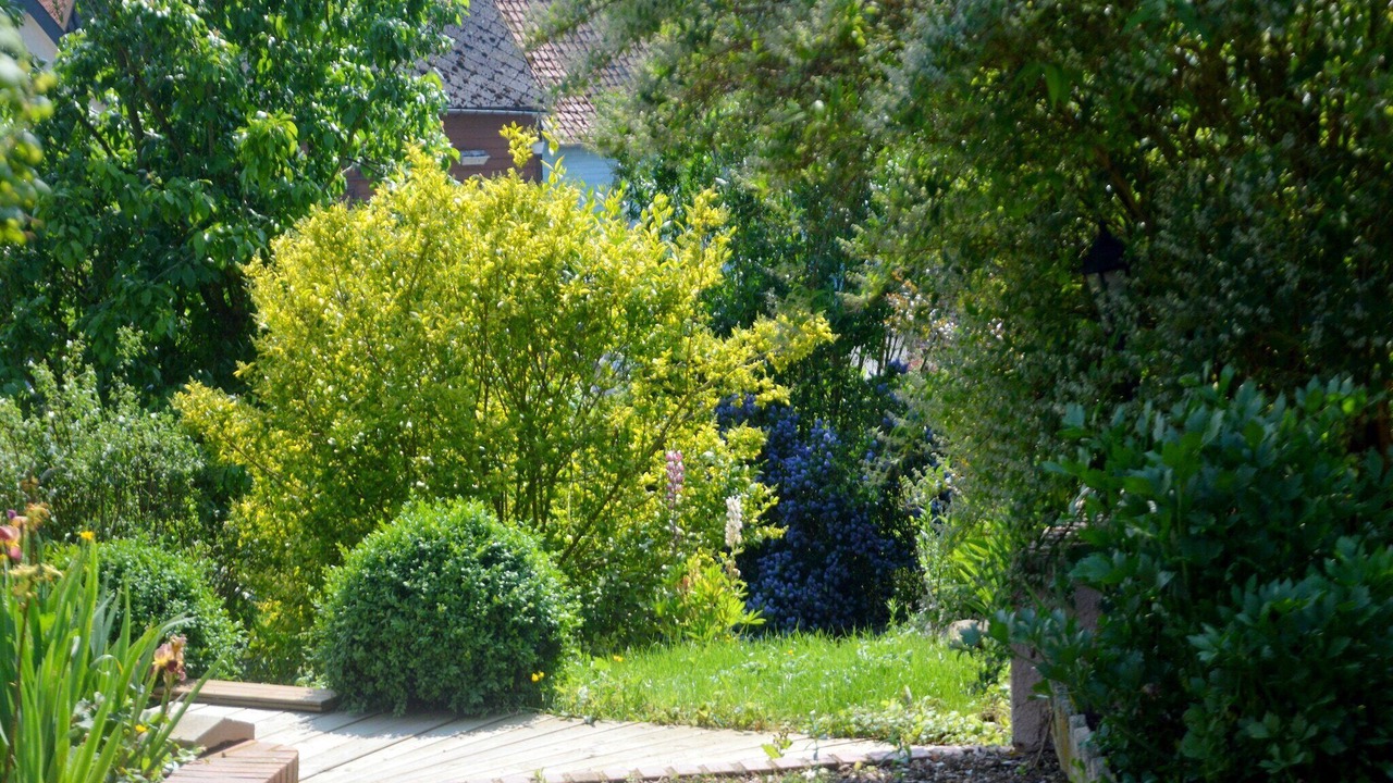 Photo of Outdoor in Laversines