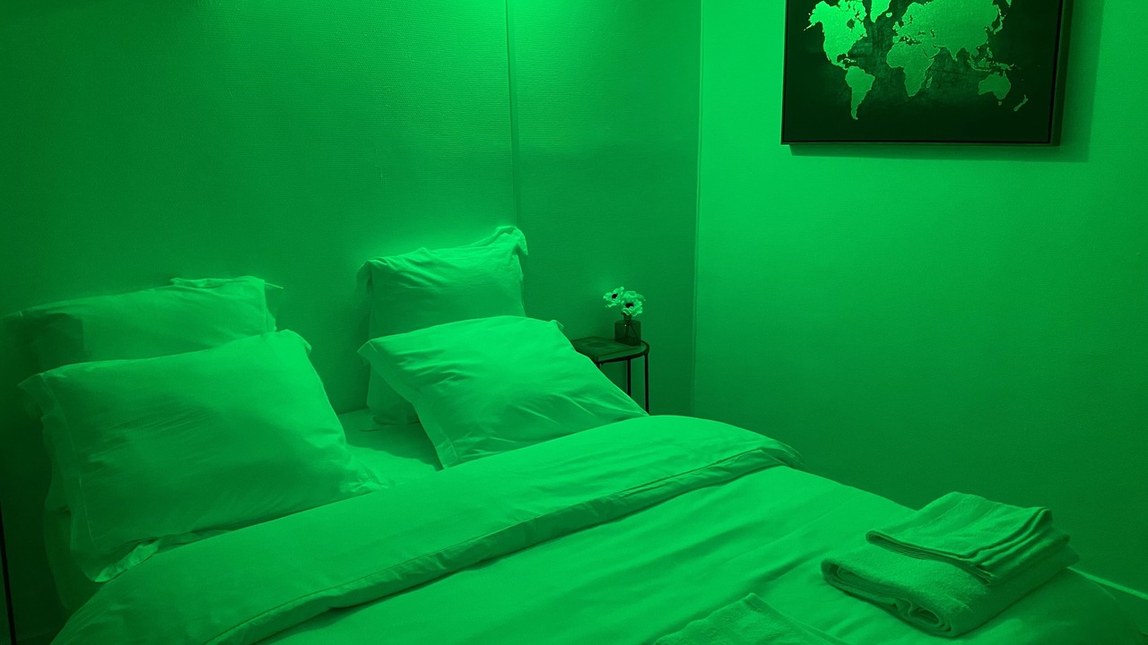 Photo of Bedroom in Gonesse