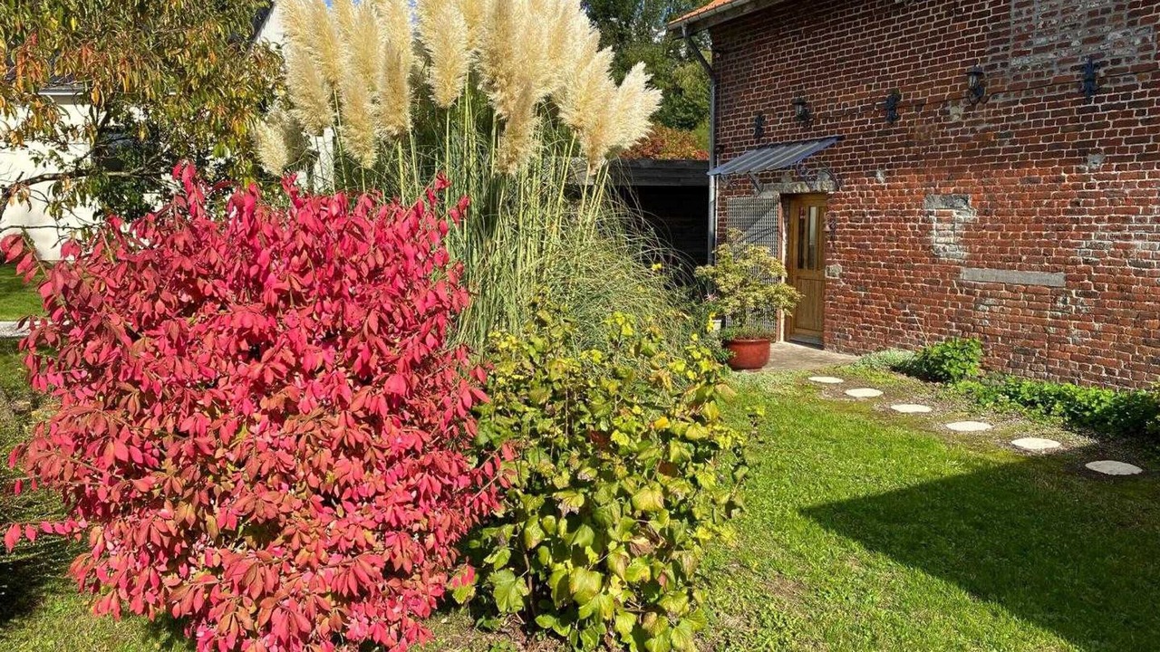 Photo of Outdoor in Orsinval