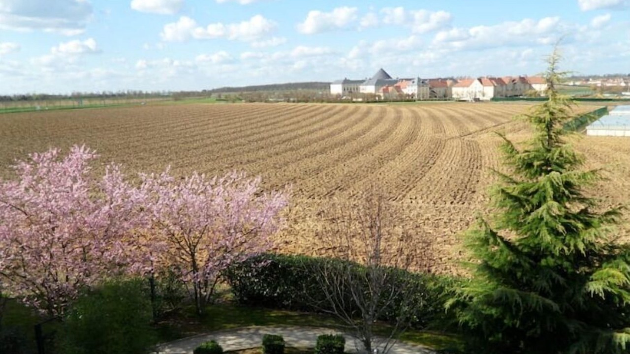 Photo of Others in Magny-le-Hongre