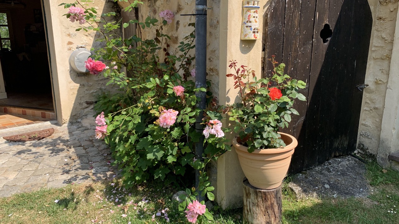 Photo of Outdoor in Garancieres