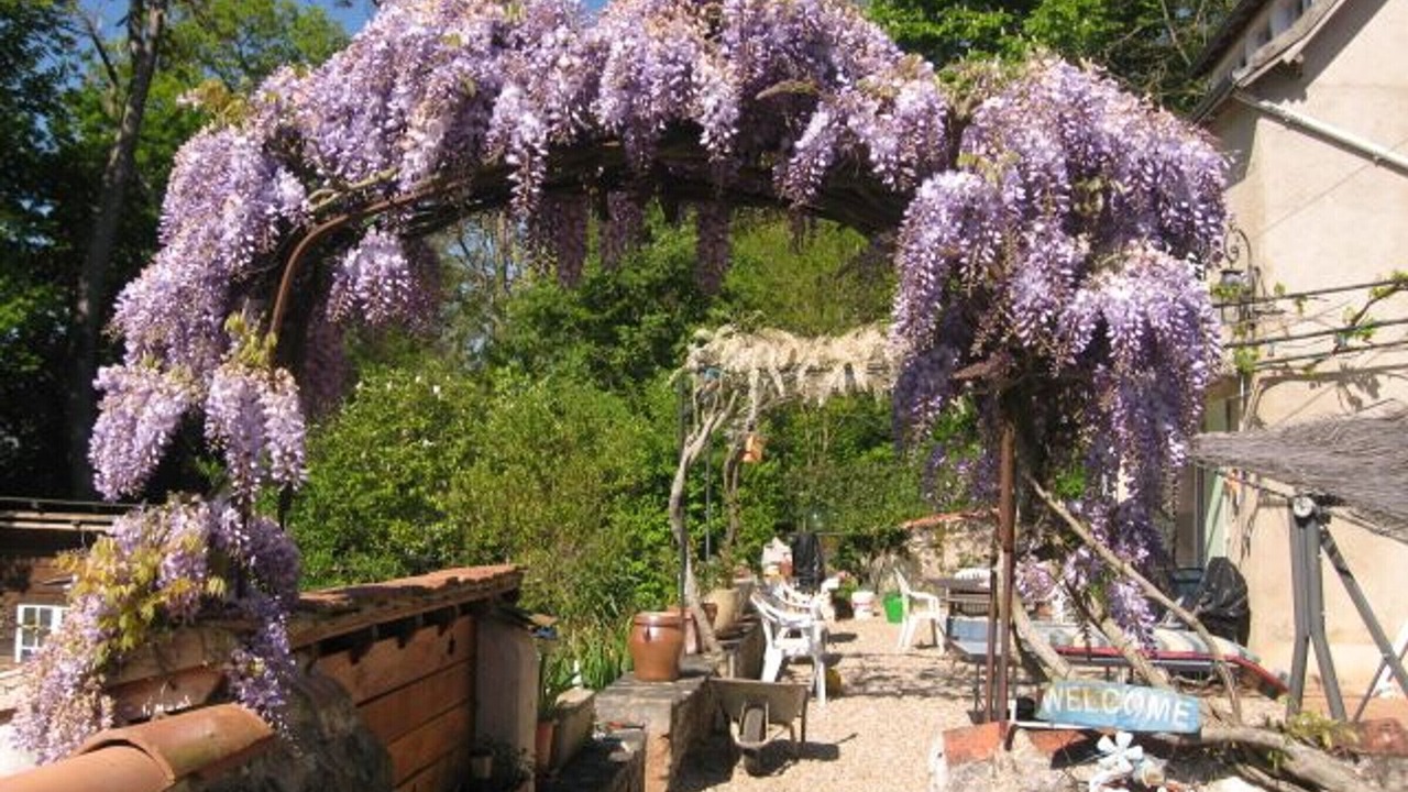 Photo of Outdoor in Le Pechereau