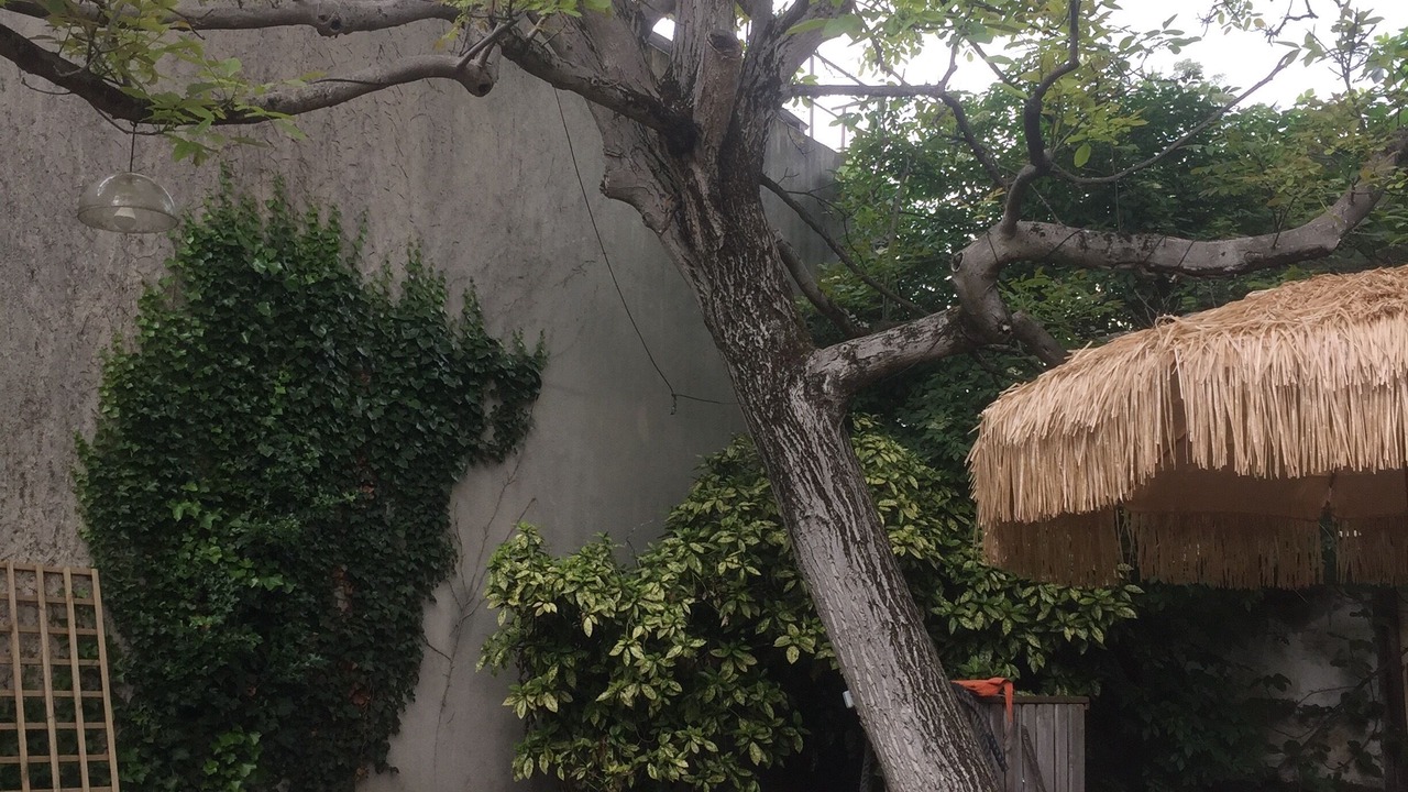 Photo of Outdoor in Alfortville