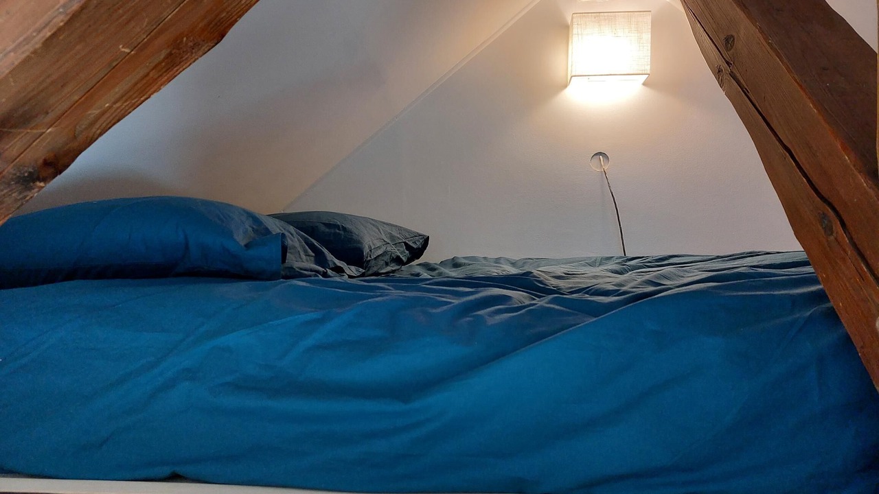Photo of Bedroom in Conflans-Sainte-Honorine