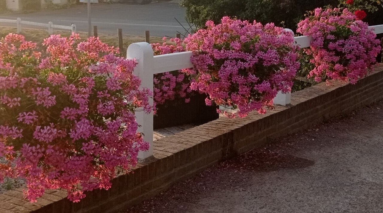 Photo of Outdoor in Monchel-sur-Canche