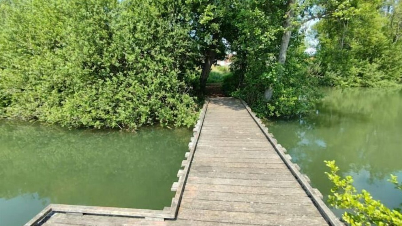 Photo of Outdoor in Arry