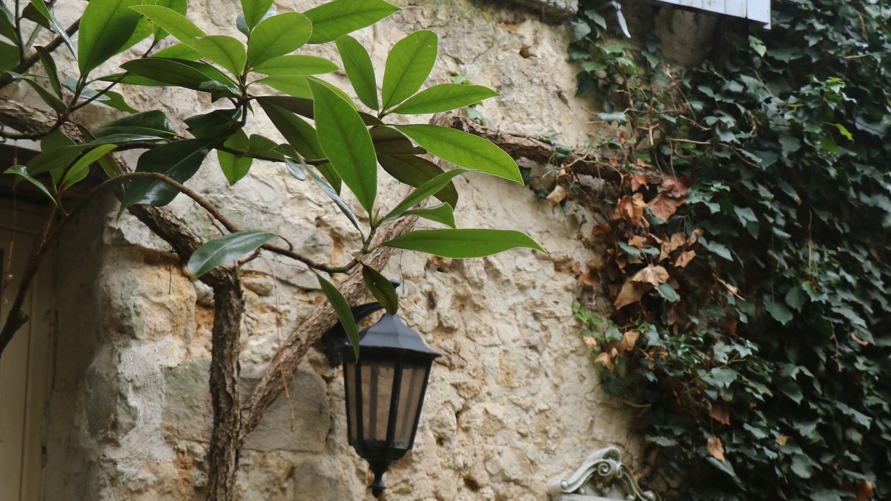 Photo of Outdoor in Fontainebleau