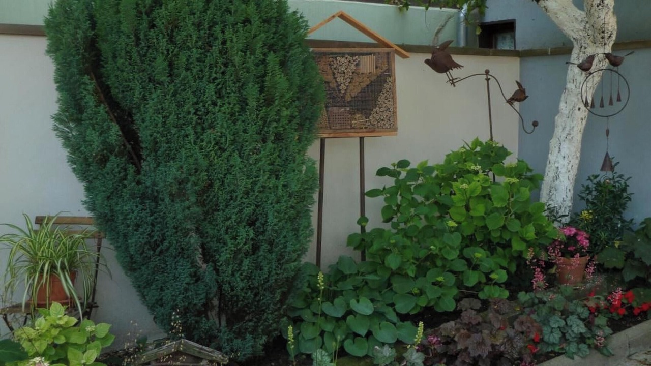 Photo of Others in Wingersheim
