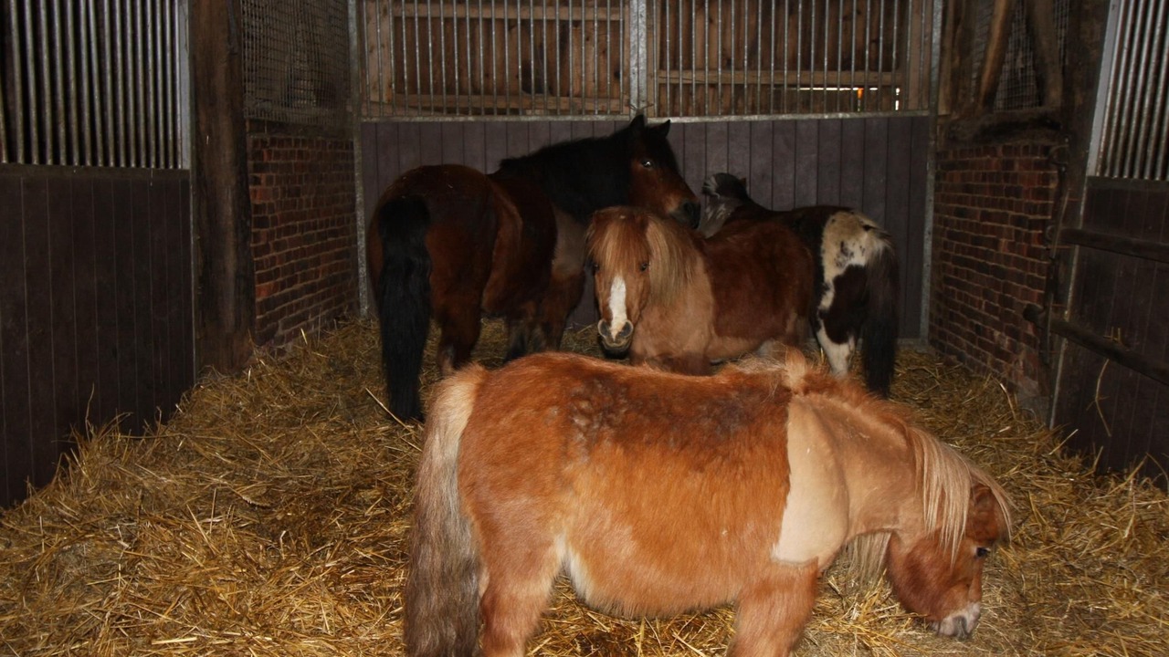 Photo of Others in Talmas