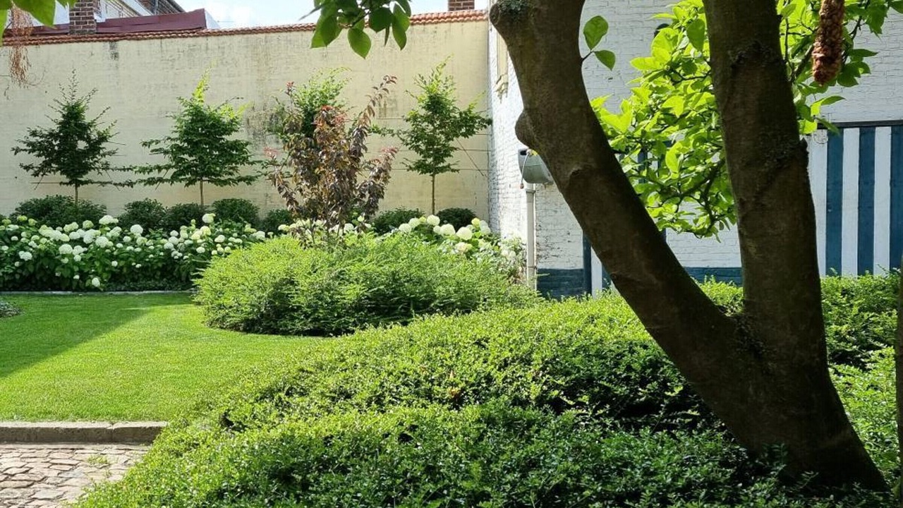 Photo of Outdoor in Abscon