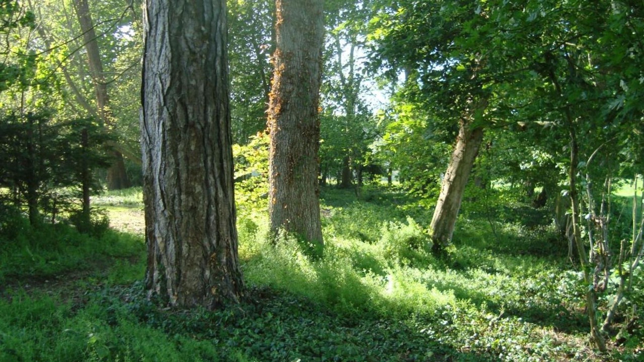 Photo of Others in La Chapelle-sur-Dun