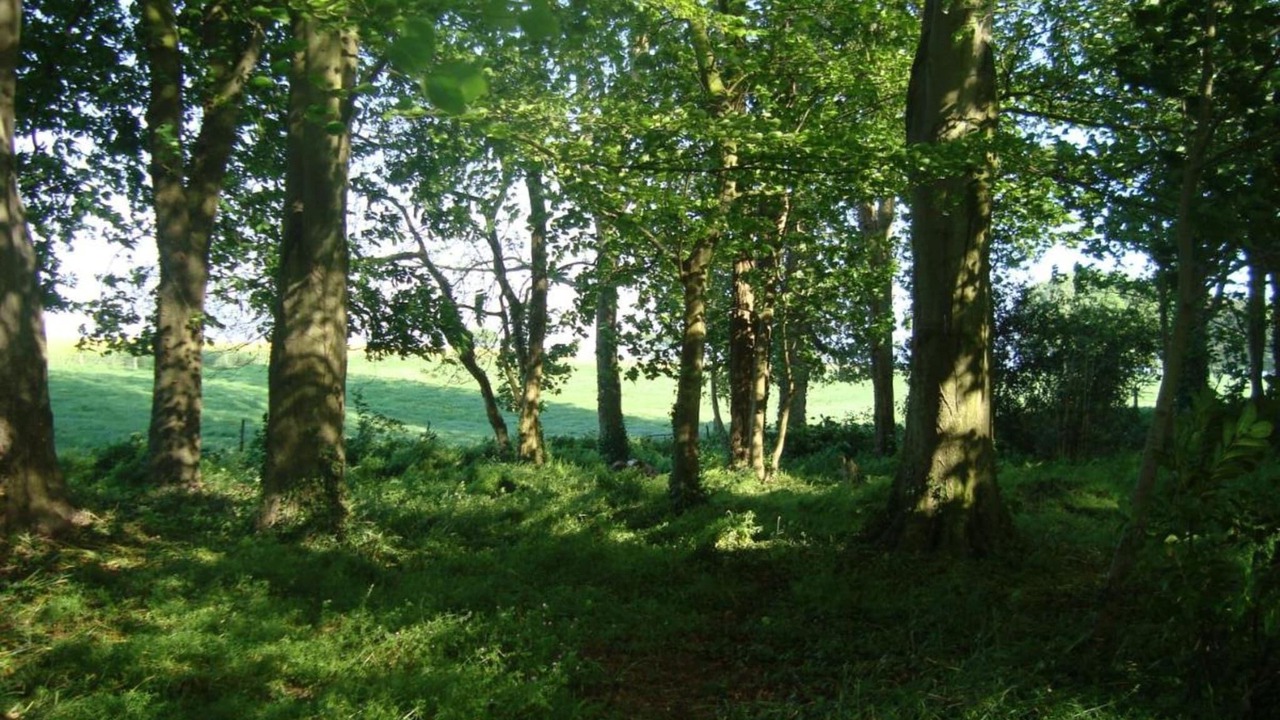 Photo of Others in La Chapelle-sur-Dun