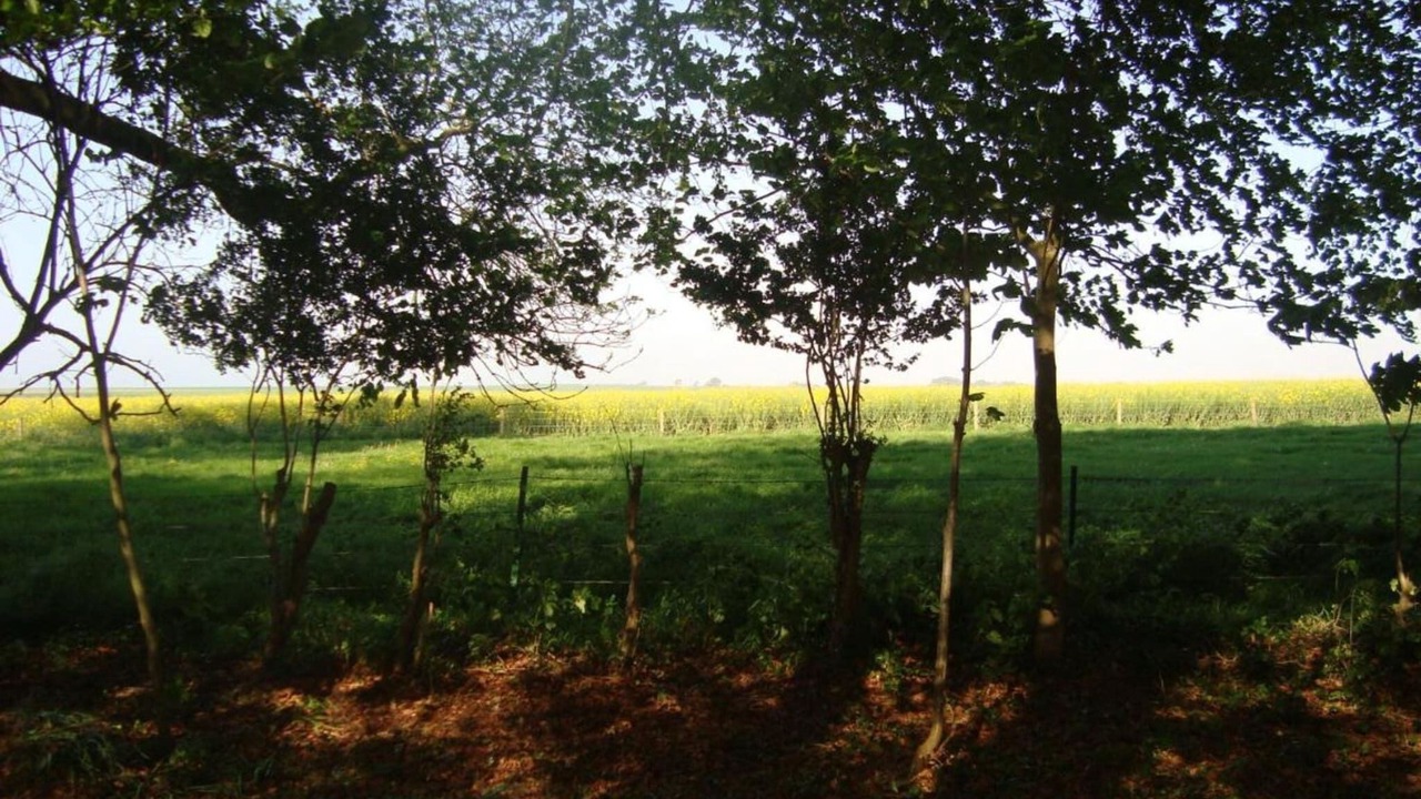 Photo of Others in La Chapelle-sur-Dun