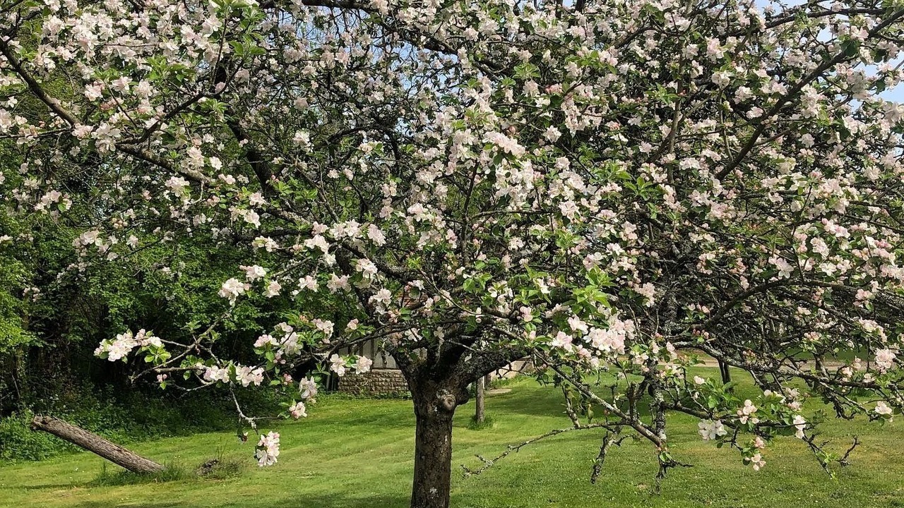 Photo of Outdoor in Triqueville