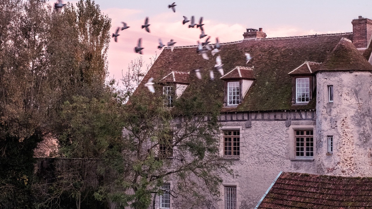 Photo of Outdoor in Marnay-sur-Seine
