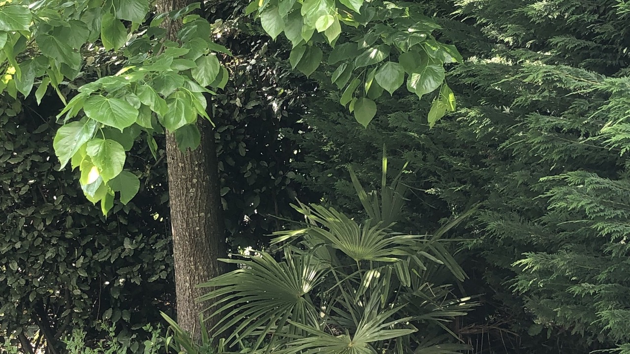 Photo of Outdoor in Courtry