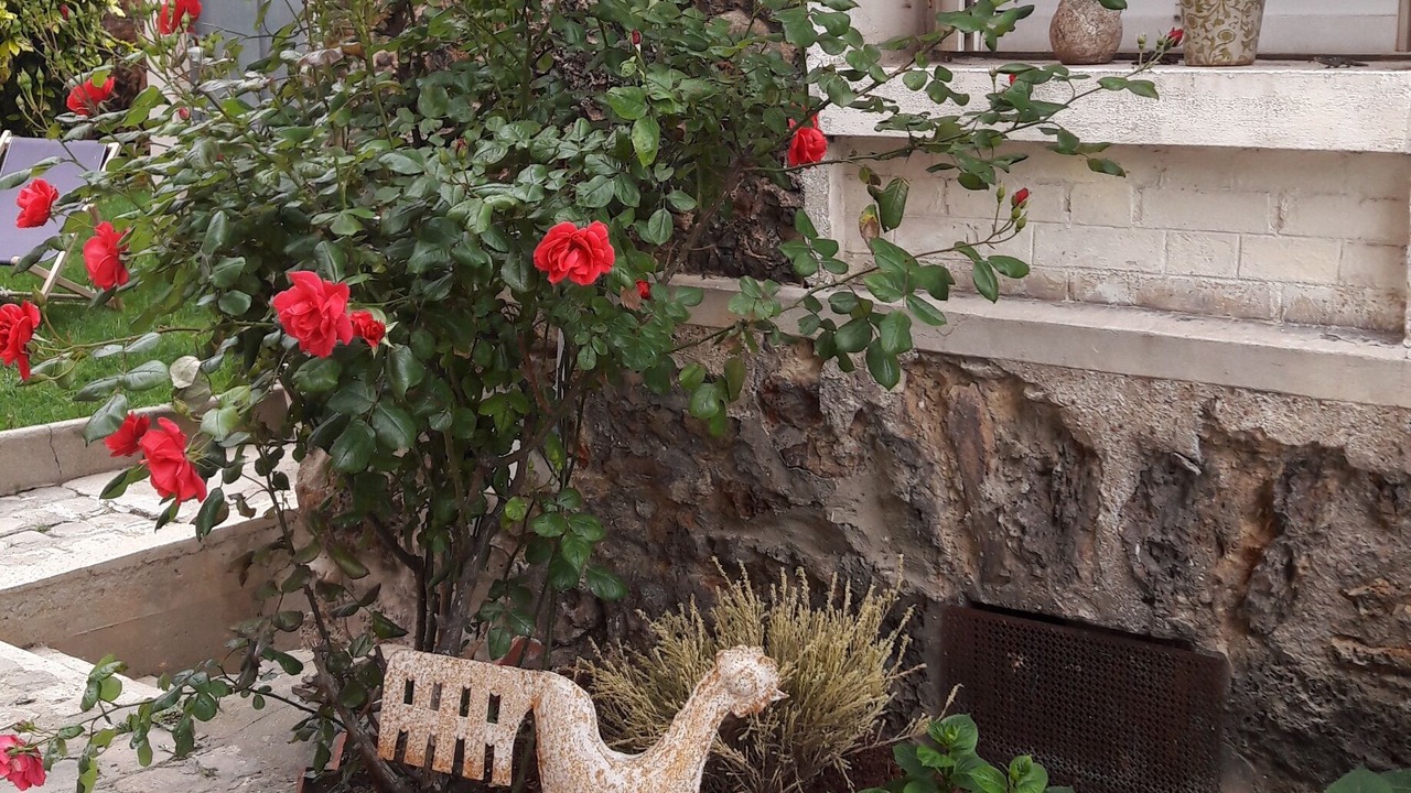 Photo of Outdoor in Montrouge