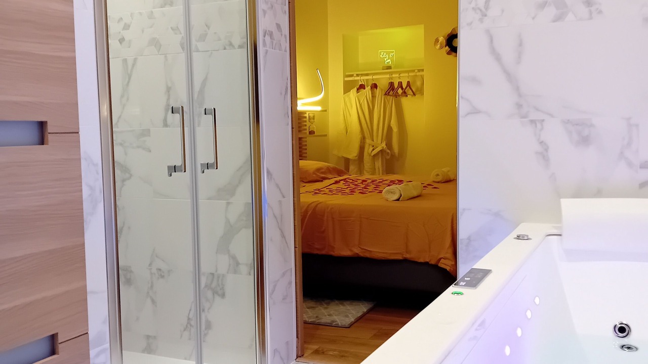 Photo of Bathroom in Louvres
