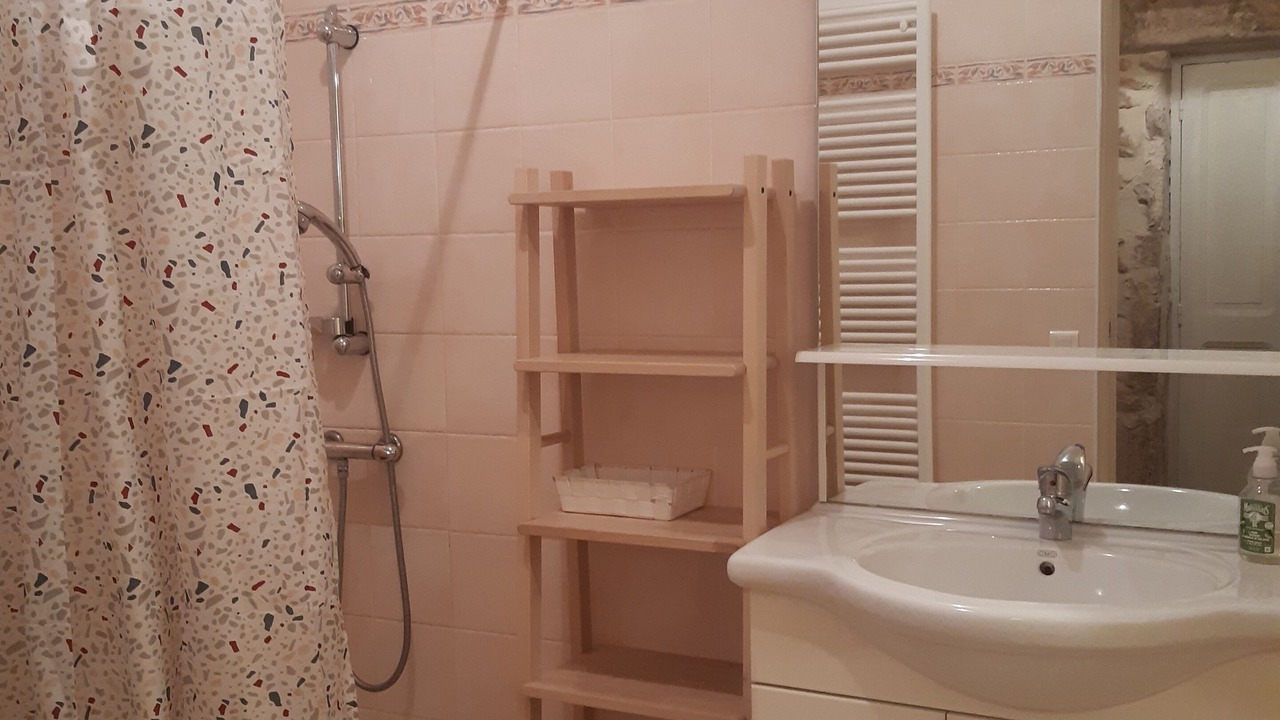 Photo of Bathroom in Vagnas