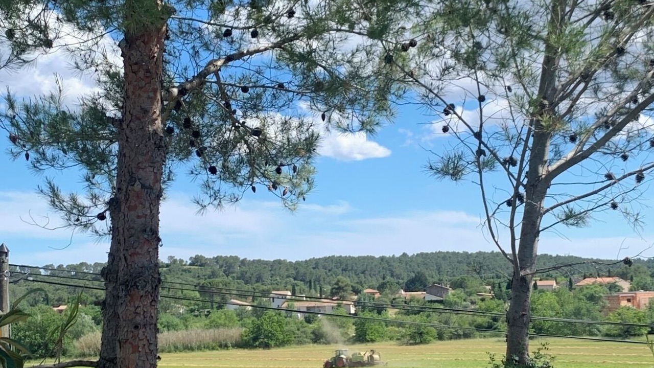 Photo of Outdoor in Les Matelles