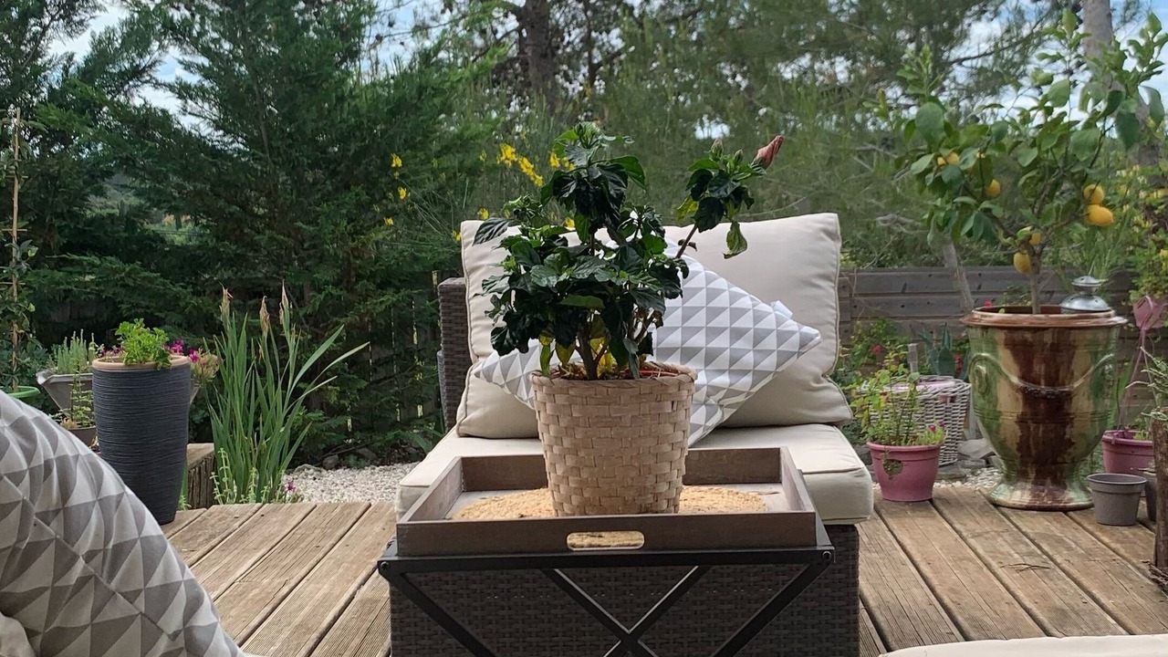 Photo of Patio Balcony in Les Matelles