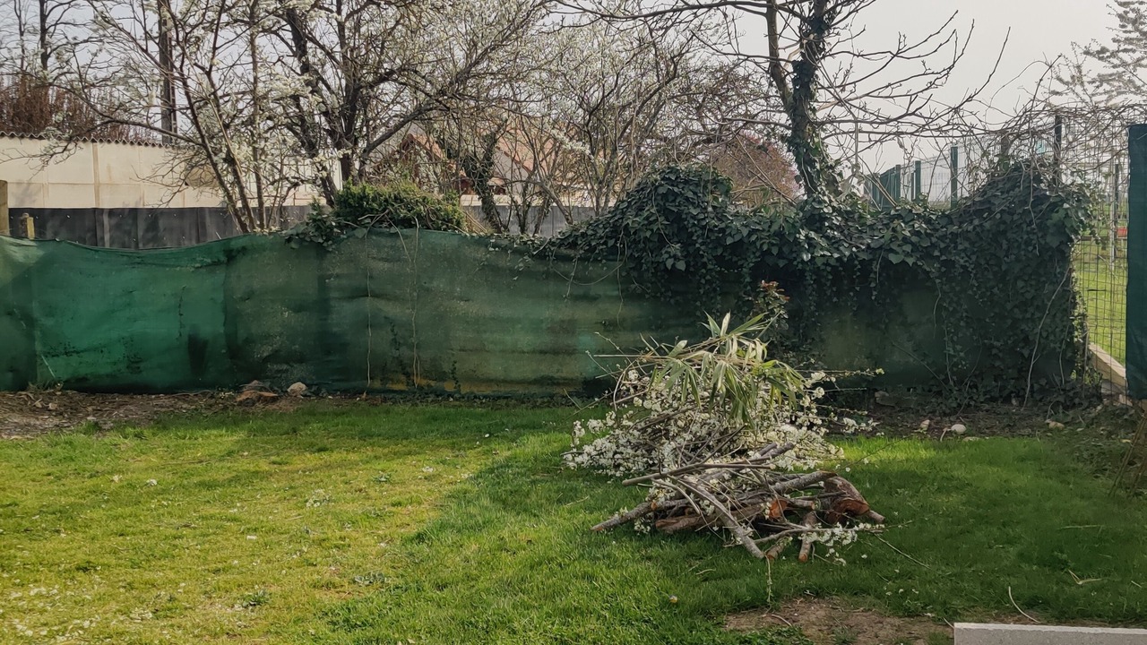 Photo of Outdoor in Corquilleroy