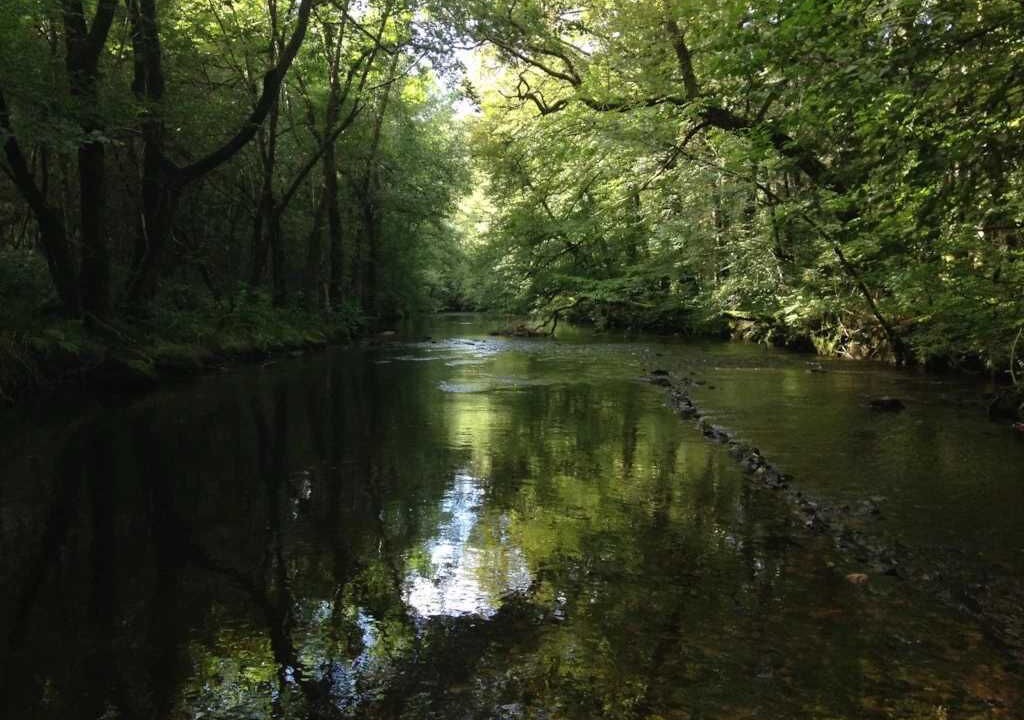 Photo of Outdoor in Correze