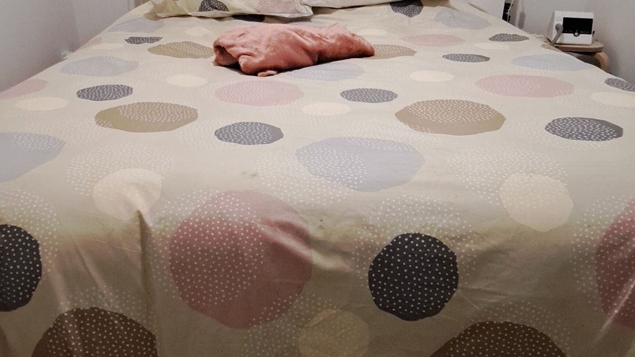 Photo of Bedroom in Conteville