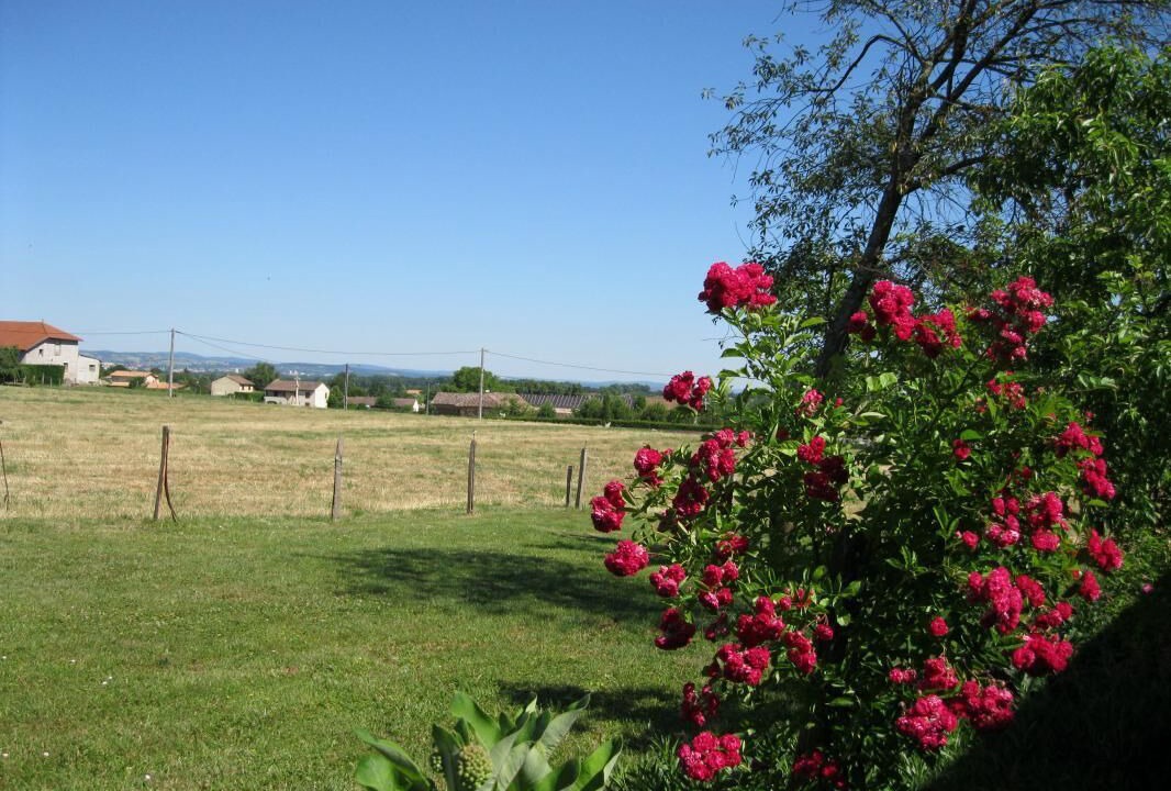 Photo of Outdoor in Laiz