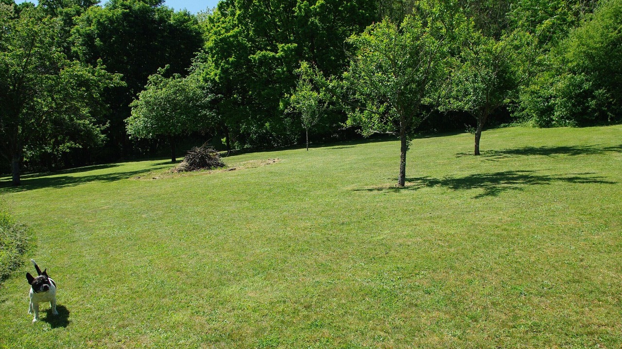 Photo of Outdoor in Belleville