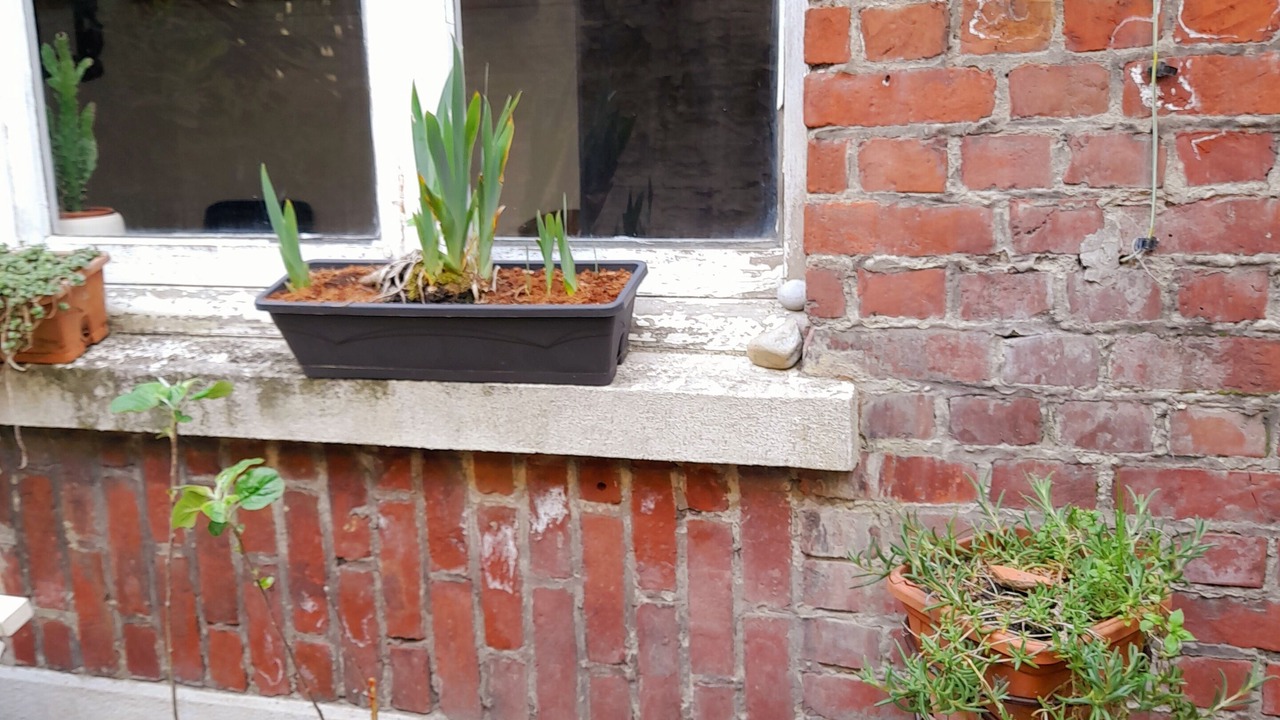 Photo of Outdoor in Tourcoing