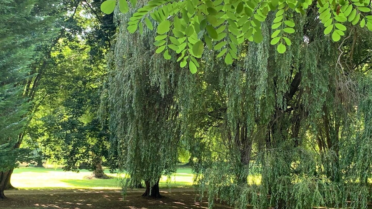 Photo of Outdoor in Ormoy-la-Riviere