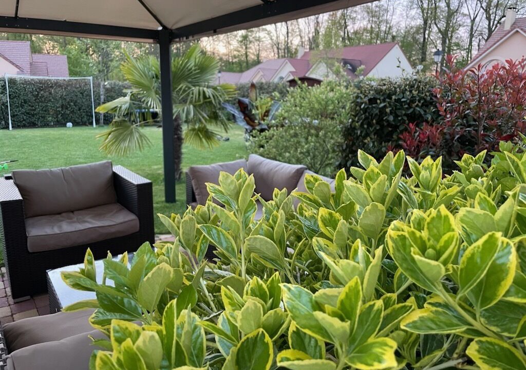 Photo of Outdoor in Le Mesnil-Saint-Denis