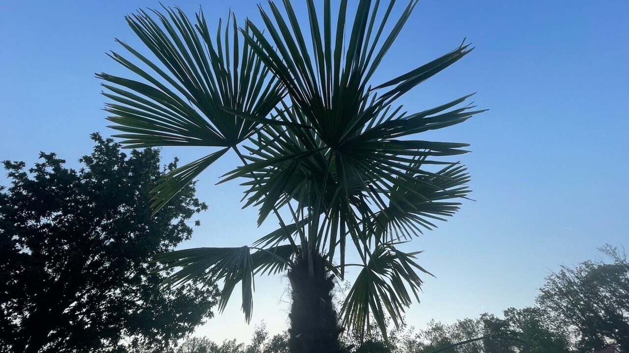 Photo of Outdoor in Le Mesnil-Saint-Denis