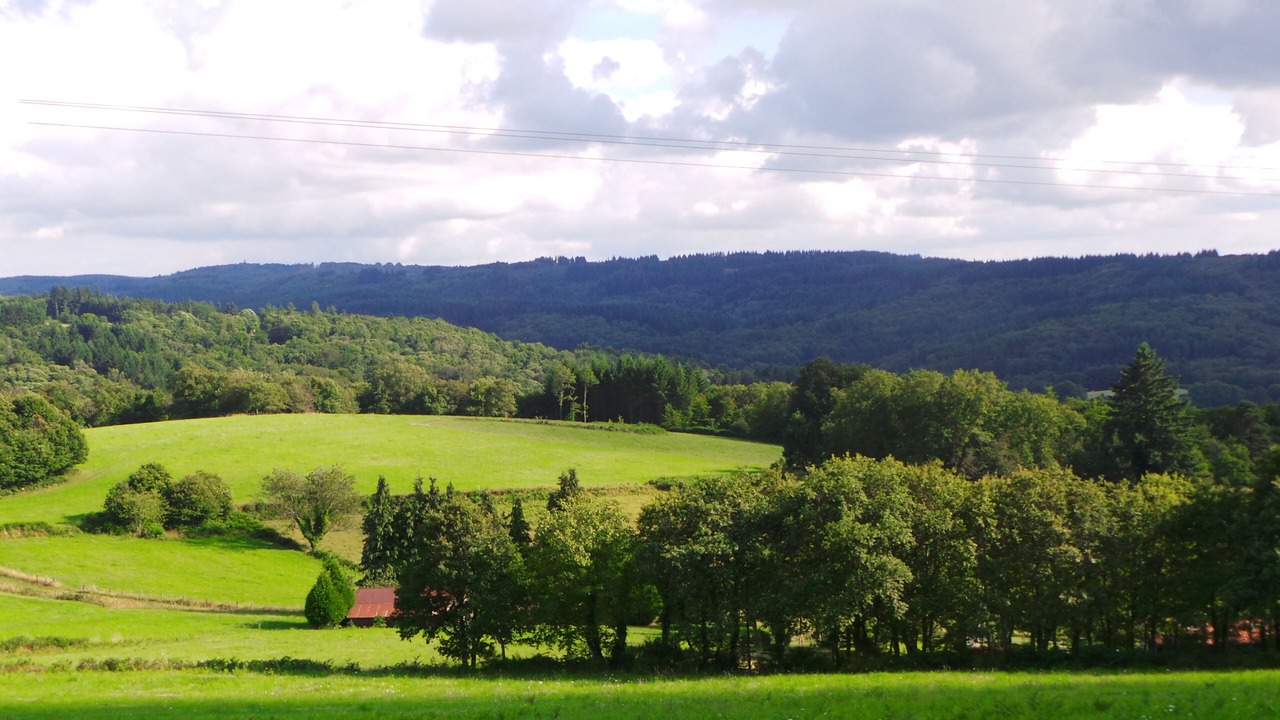 Photo of Others in Bersac-sur-Rivalier