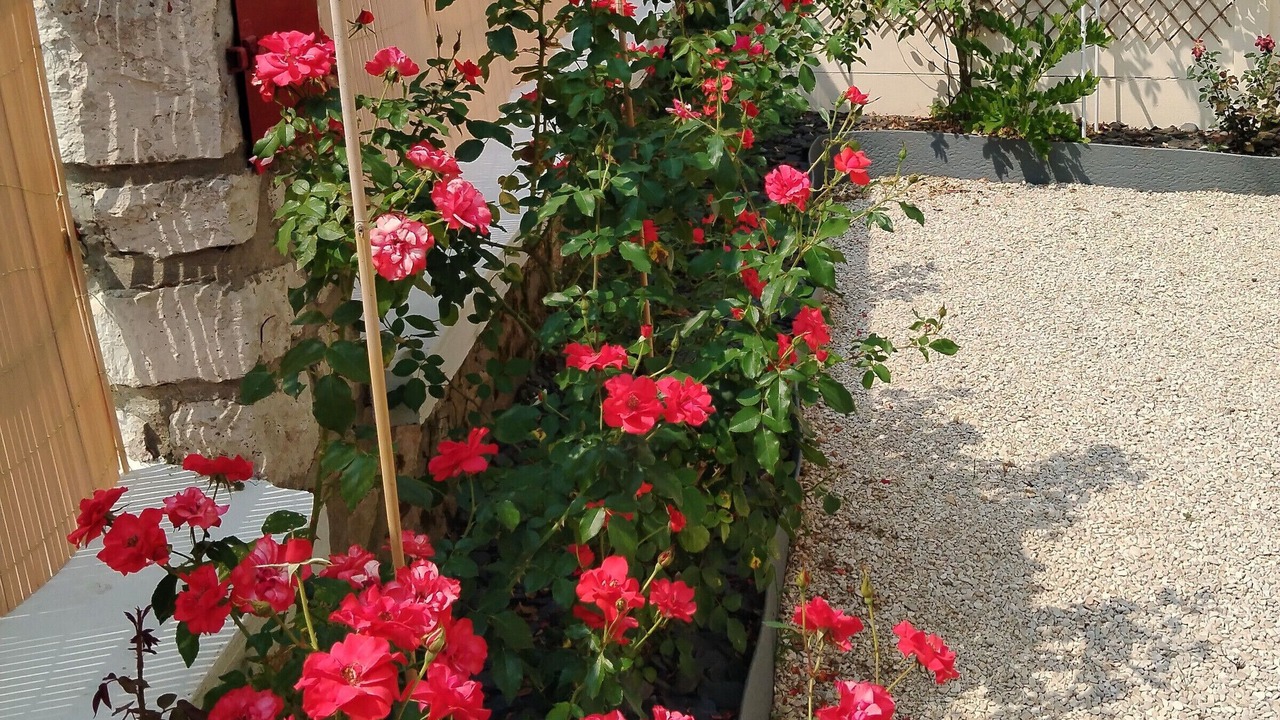 Photo of Outdoor in Montargis