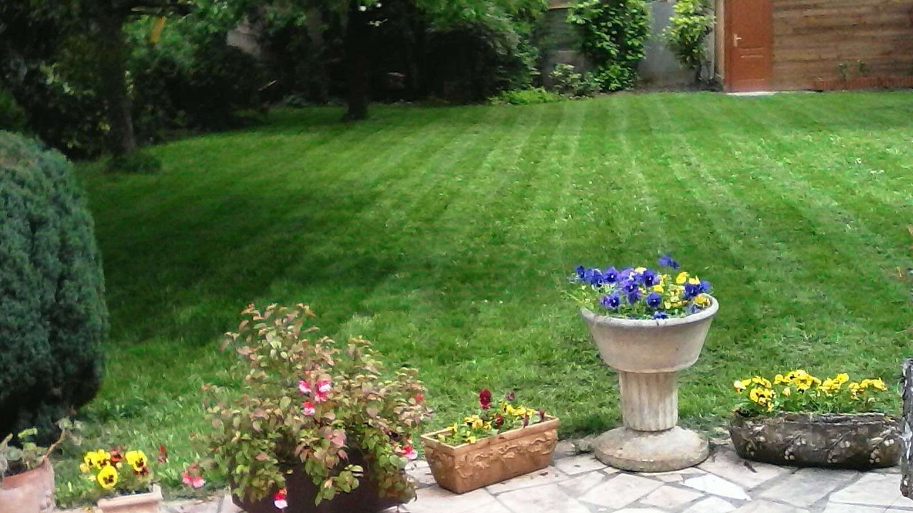 Photo of Outdoor in Saint-Bauzille-de-la-Sylve
