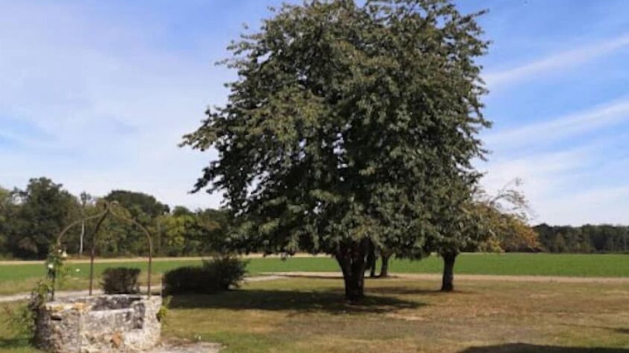 Photo of Outdoor in Pezarches