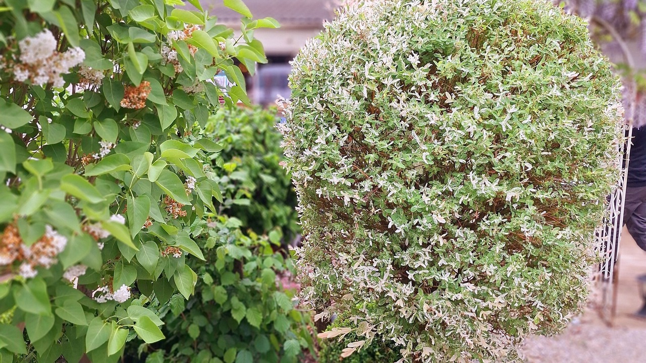 Photo of Outdoor in Millencourt-en-Ponthieu