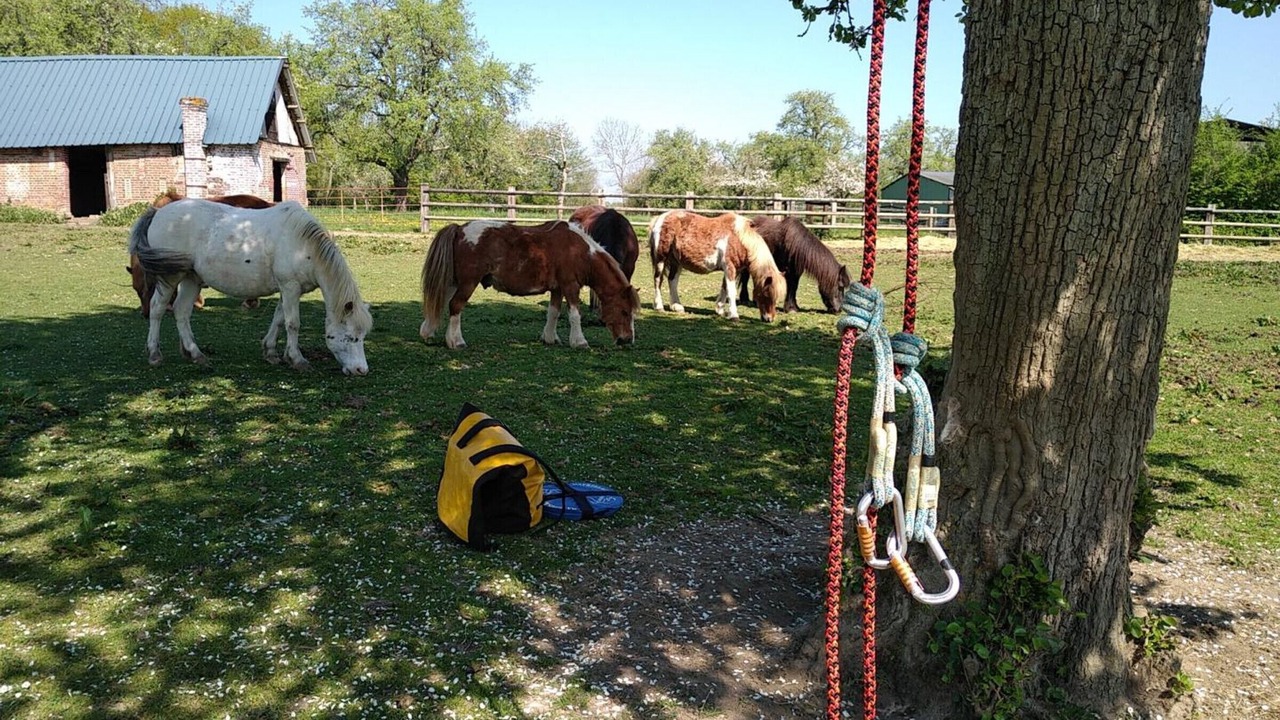 Photo of Others in Les Champeaux
