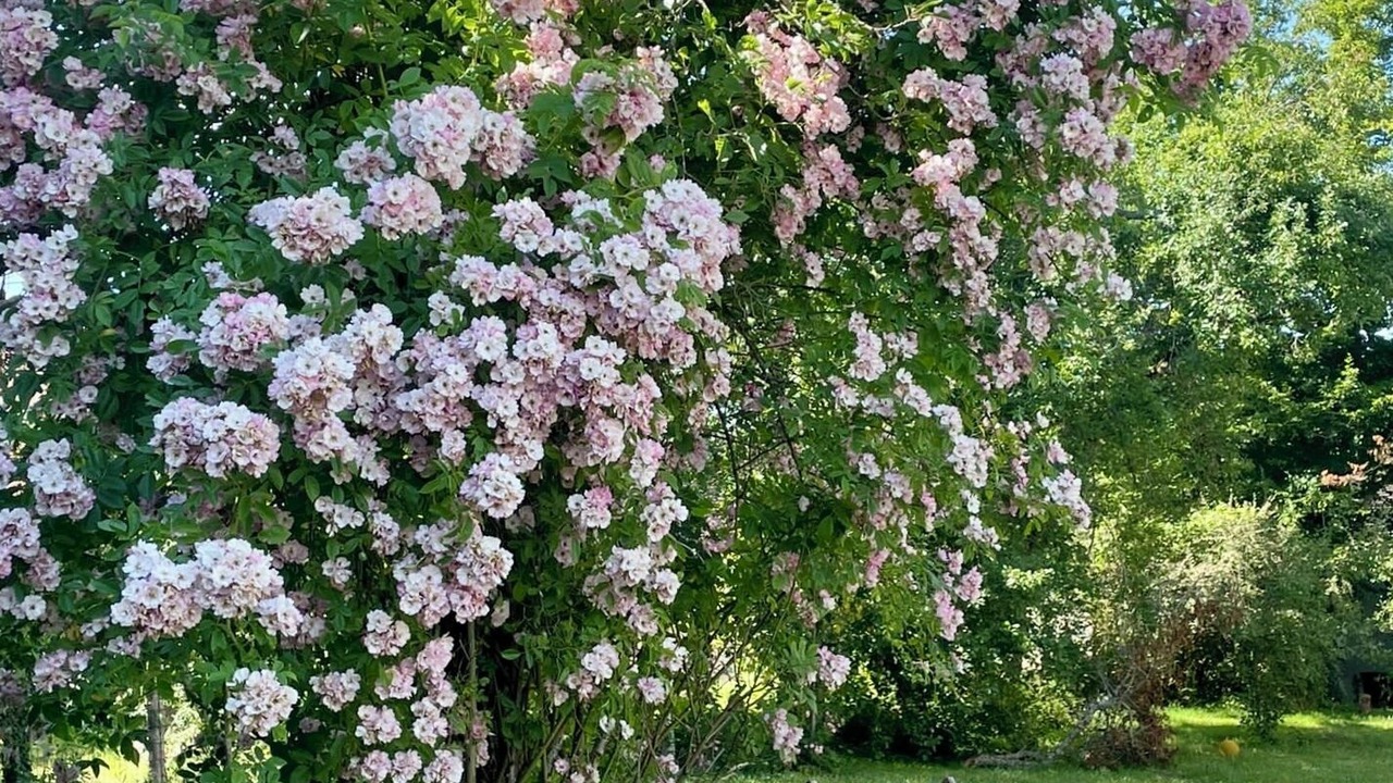 Photo of Outdoor in Chevannes